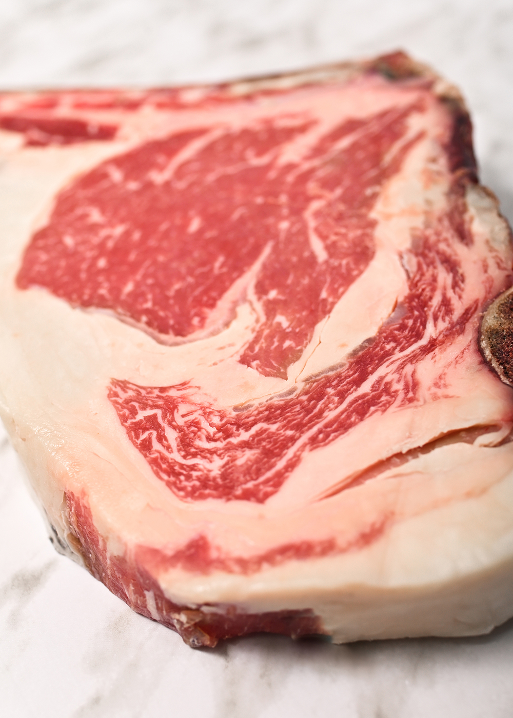 carnes-campoy-chuletón-vacamadurada-003